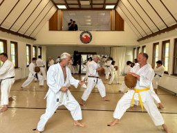 40 Jahre Karate-Do – Matthias Pittrof